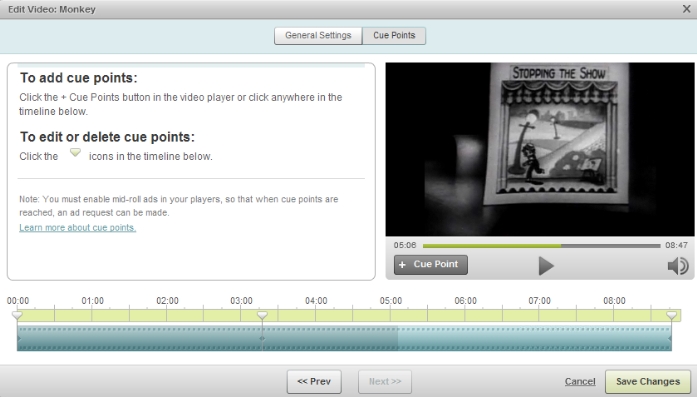 Single Video Cue Point Editor