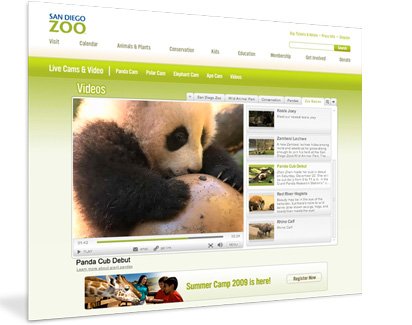 San Diego Zoo Videos