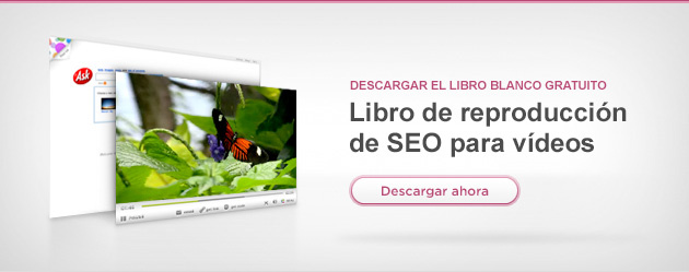 2008 Libro de reproducción de SEO para vídeos