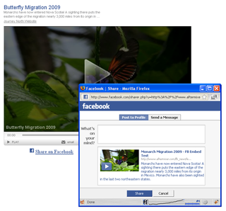 Brightcove Video in your Facebook News Feed