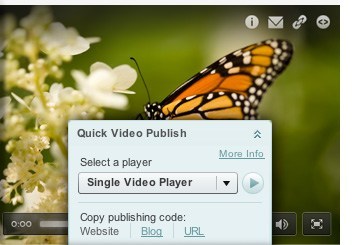 Quick and easy video player publishing