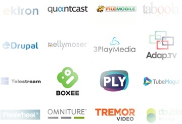 Brightcove Alliance Partners
