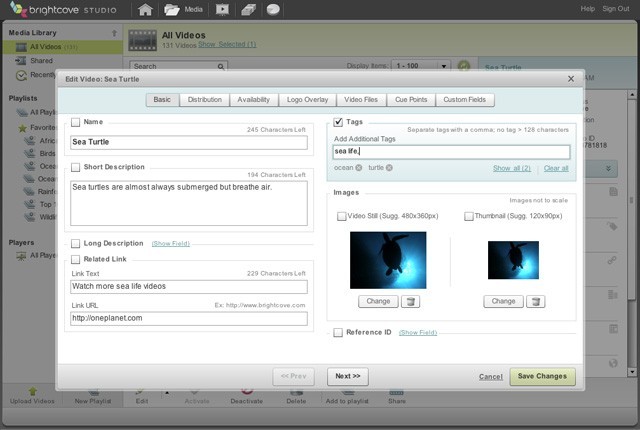 Content Management Screenshot 3