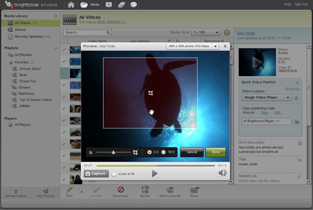 Content Management Screenshot 5