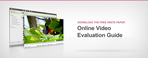 Online Video Evaluation Guide