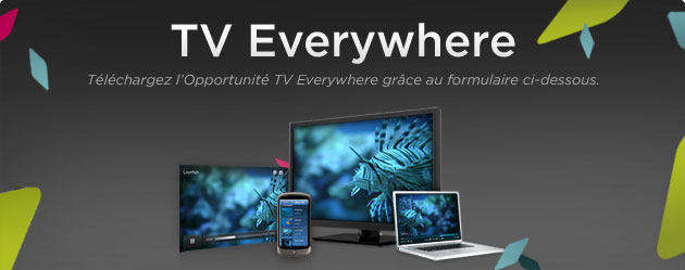 Rapport Forrester Wave - Plateformes vidéo online