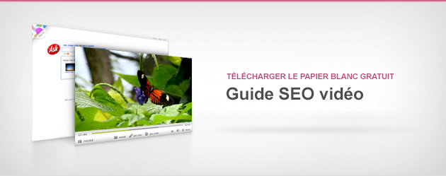 Guide SEO vidéo 2008