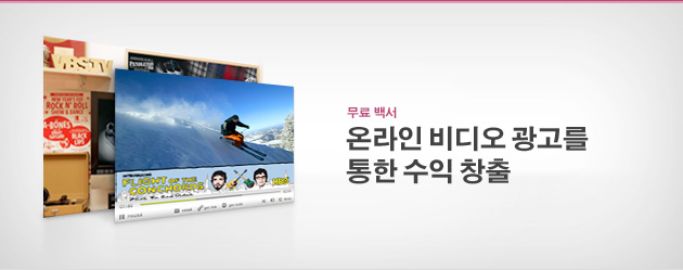 온라인 비디오 광고를 통한 수익 창출