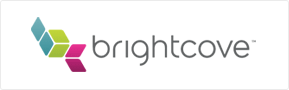 Brightcove Logo - Horizontal Grey