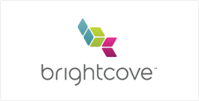Brightcove Logo - Vertical Grey