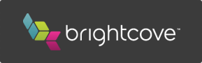 Brightcove Logo - Horizontal White