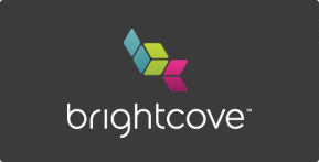 Brightcove Logo - Vertical White