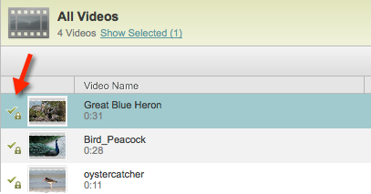 DRM protected videos
