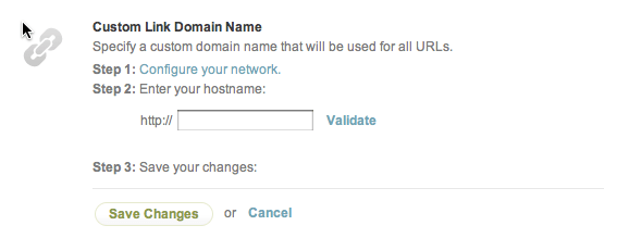 custom domain name settings