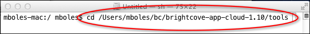terminal for cd