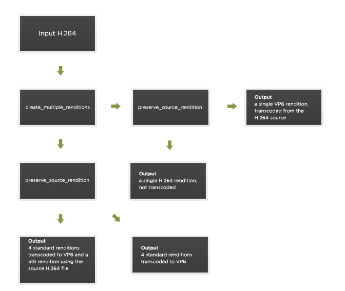 Preserving H.264 source as a rendition