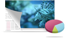 Custom Measurement Solutions