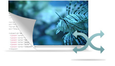 Flexible Video Syndication