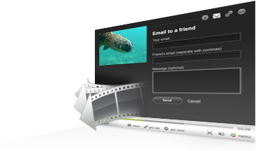 Online Video Distribution