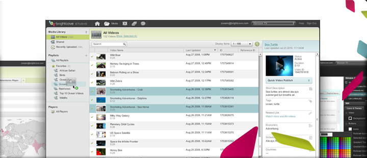 Brightcove Video Cloud