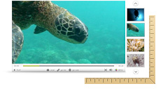 Custom Video Players and Templates