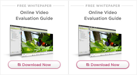 Online Video Evaluation Guide