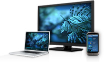 The TV Everywhere Opportunity