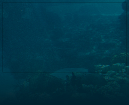 Underwater Background Image