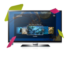 Brightcove für internetfähige Fernseher