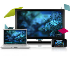 Brightcove-Lösungen für TV Everywhere