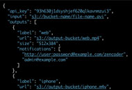how it works json