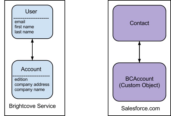 Using the Salesforce Bulk API