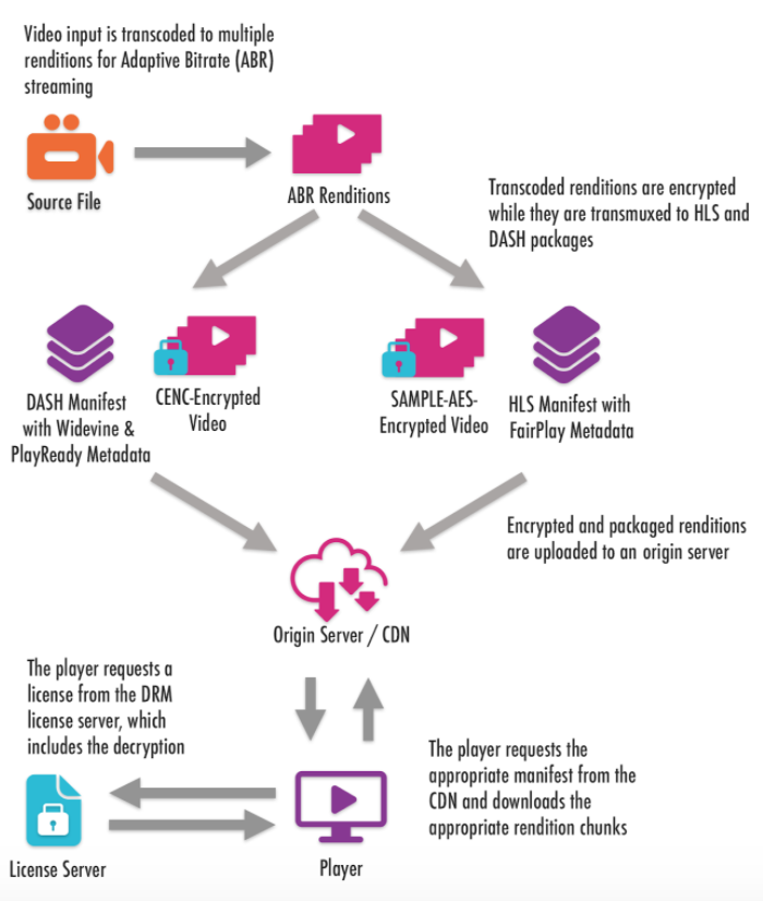 digital rights management removal free