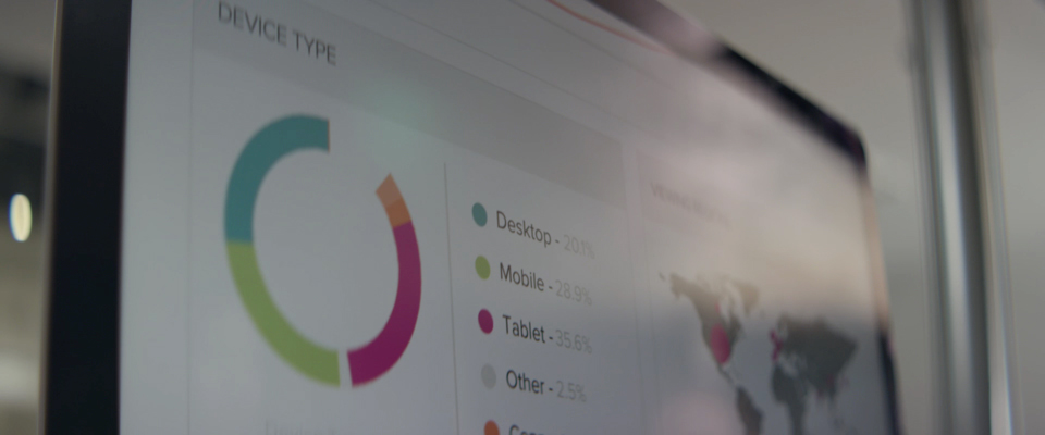 Video Viewer Demographics