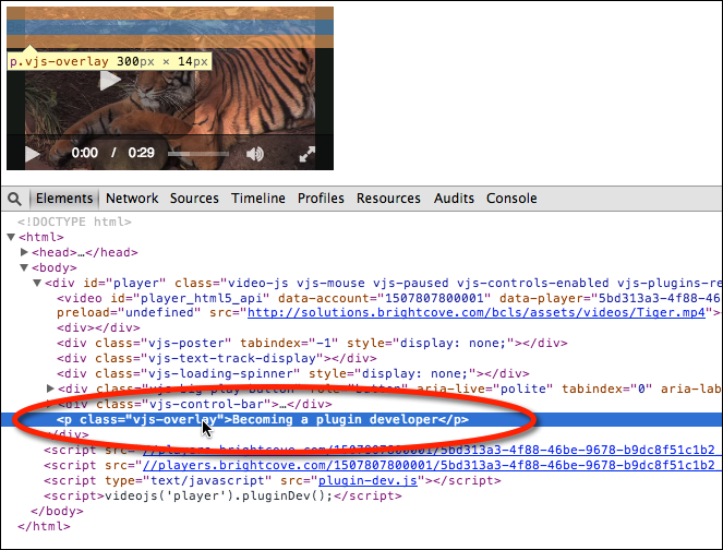 Hinzufügen eines Video-Player-Plugin-Codes