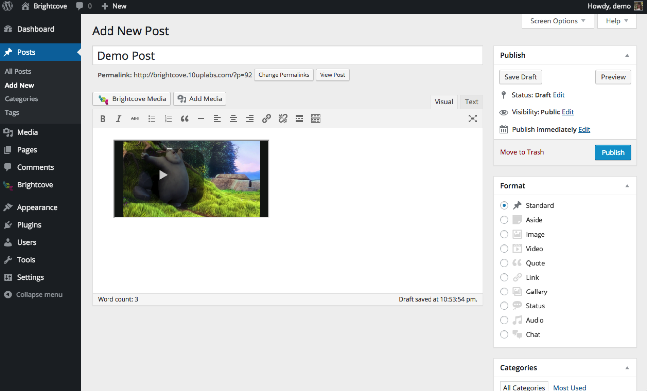 New Wordpress Post with Video