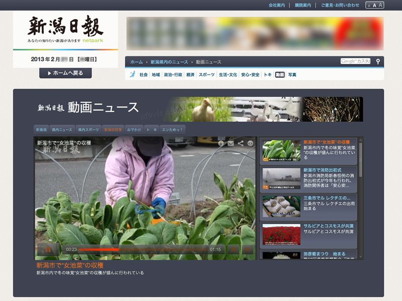 新潟日報が運営するニュースサイト 新潟日報netpark にて動画配信プラットフォーム Brightcove Video Cloud が採用 Brightcove