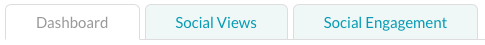 report tabs