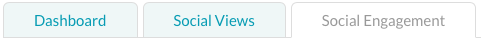 report tabs